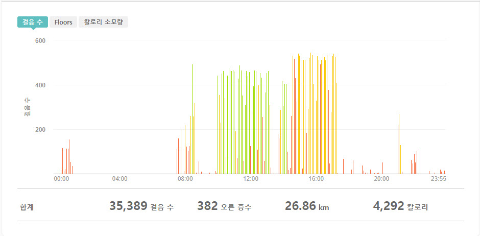 fitbit_record